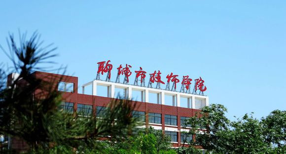 聊城市技師學院有計算機專業嗎？