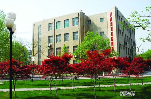 淄博市工業學校開設哪些計算機課程？
